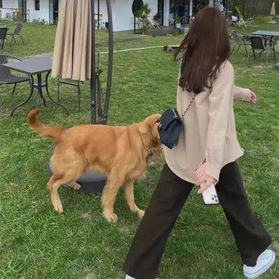 局中人